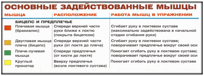 Подъем на бицепс в блочном тренажере стоя